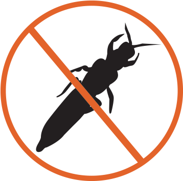 Thrips - Thrips (400x400)