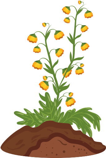 Set Different Vegetables Plant Showing Root Stock Vector - Icon (550x550)