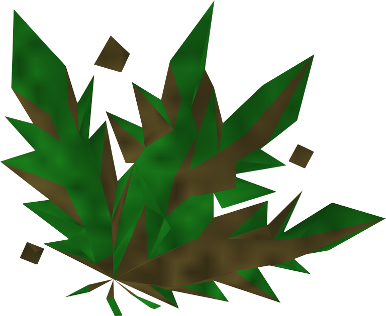Grimy Guam - Runescape (768x630)