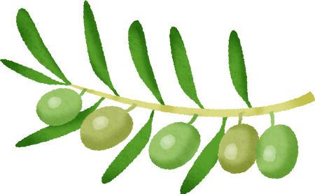 Olive - Illustration (450x278)