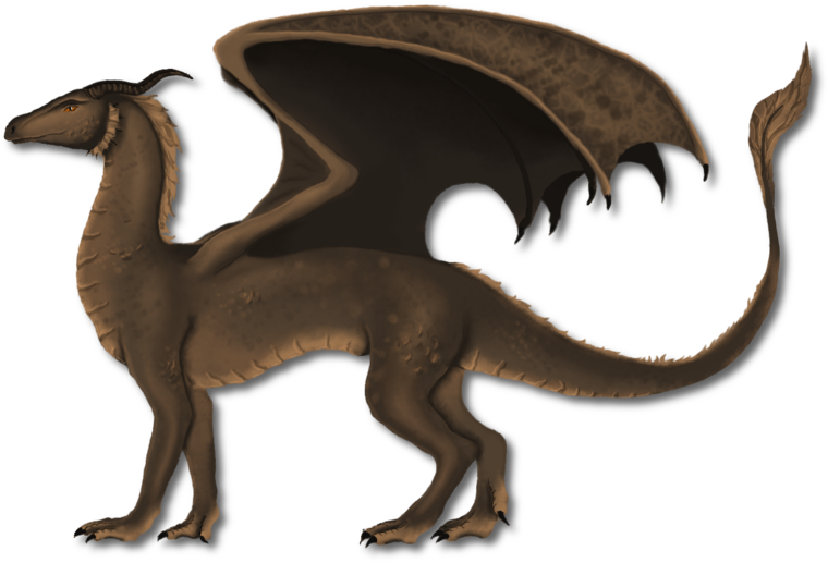 My Dragon By Mscogito - Dragon (900x576)