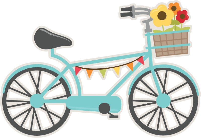 How Many Spokes - Bicycle Svg (800x550)