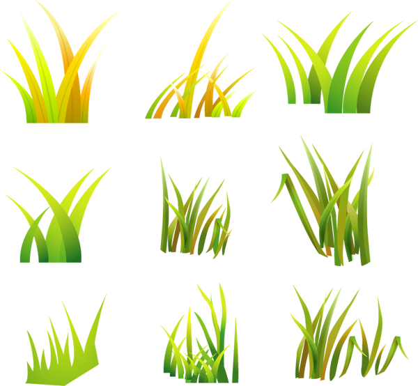 Grass Vector (600x554)