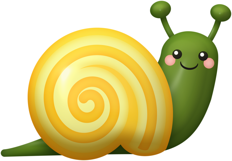 Яндекс - Фотки - Snail (800x554)