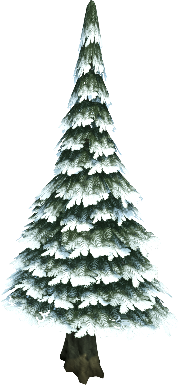 Evergreen Tree - Evergreen Tree (605x1309)