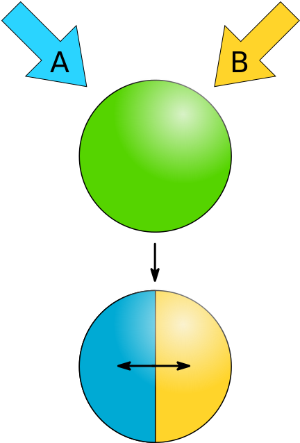 Phase Separation - Janus Nanoparticles (440x649)