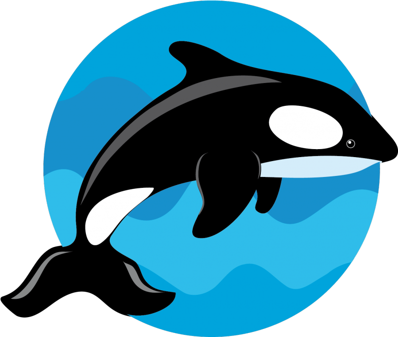 Siguiente - Clip Art (800x800)
