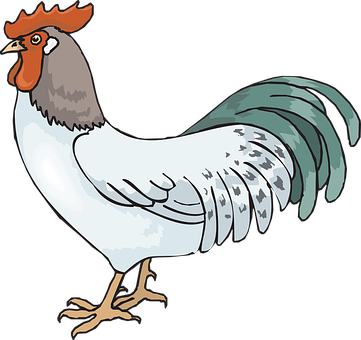 Rooster Coloring Page - Rooster Clipart (361x340)