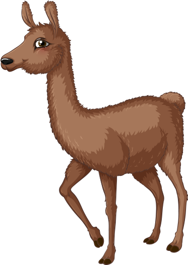 Clipart Lama - Hyena Types (538x554)
