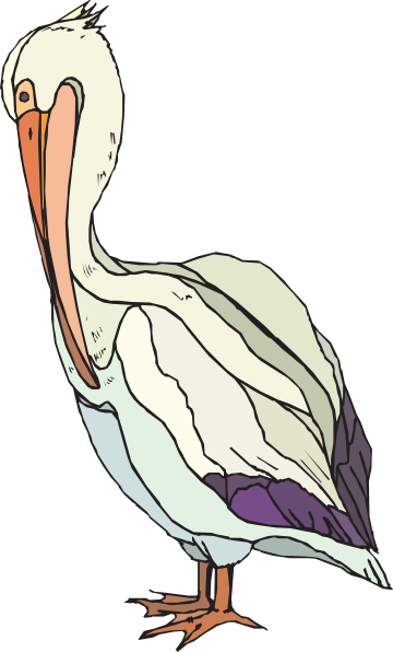 Bird - Clip Art (360x596)