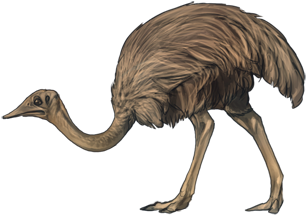 Confusedostrichday - Emu (640x385)