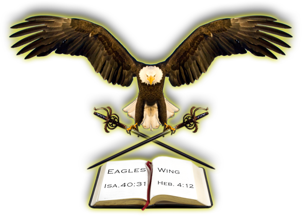 Eagles (1024x733)