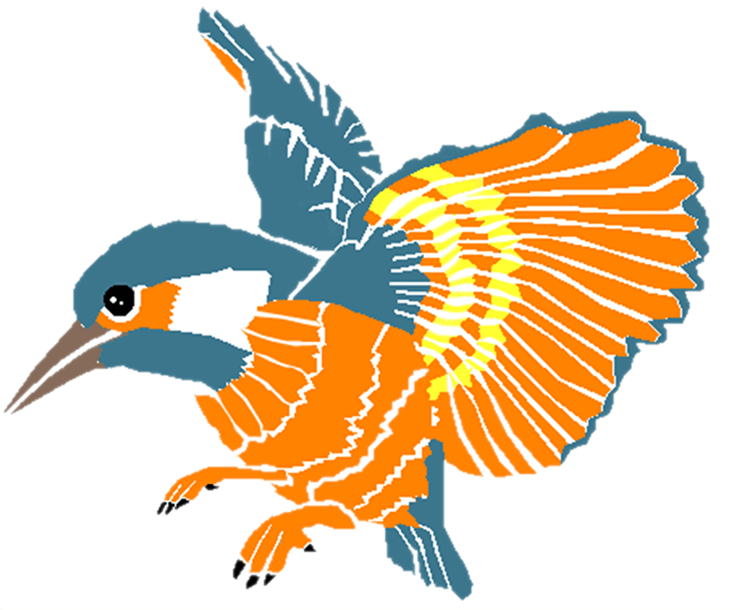 Kingsfishers - Coraciiformes (1483x1345)