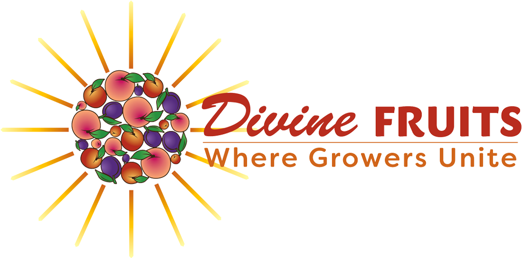 Fruit (1100x550)