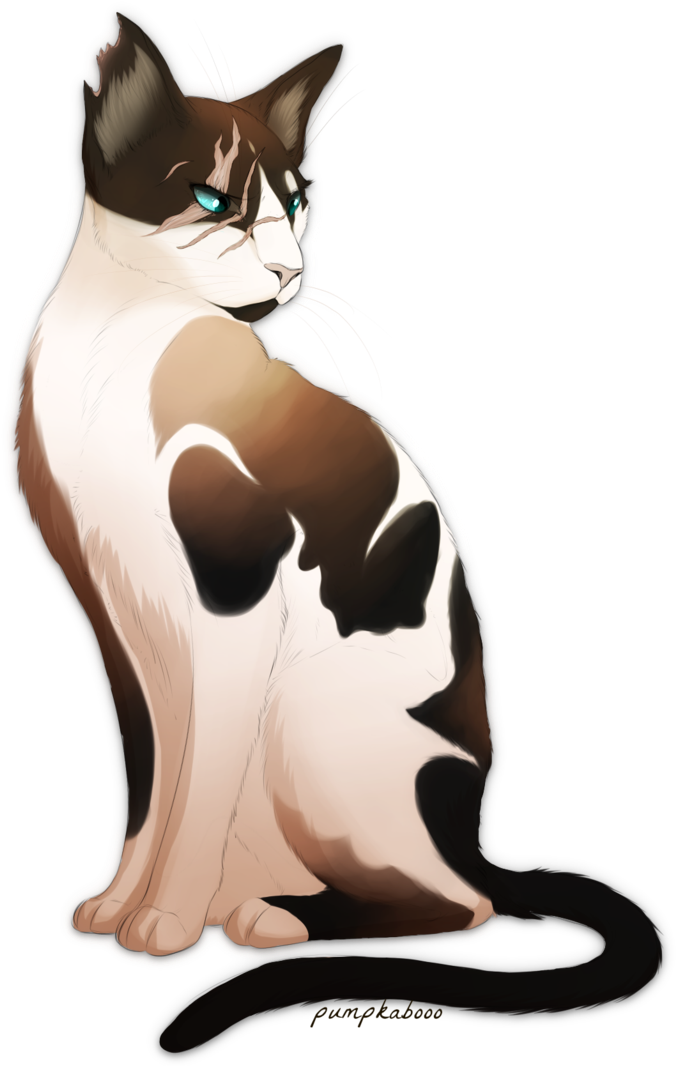 Nettle's Wing By Pumpkabooo - Common Nettle (727x1098)