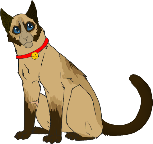 Photo - Siamese (530x530)