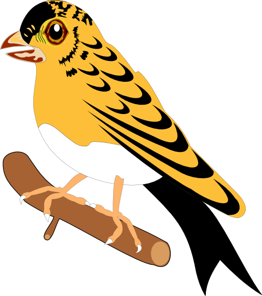 Bird (798x900)