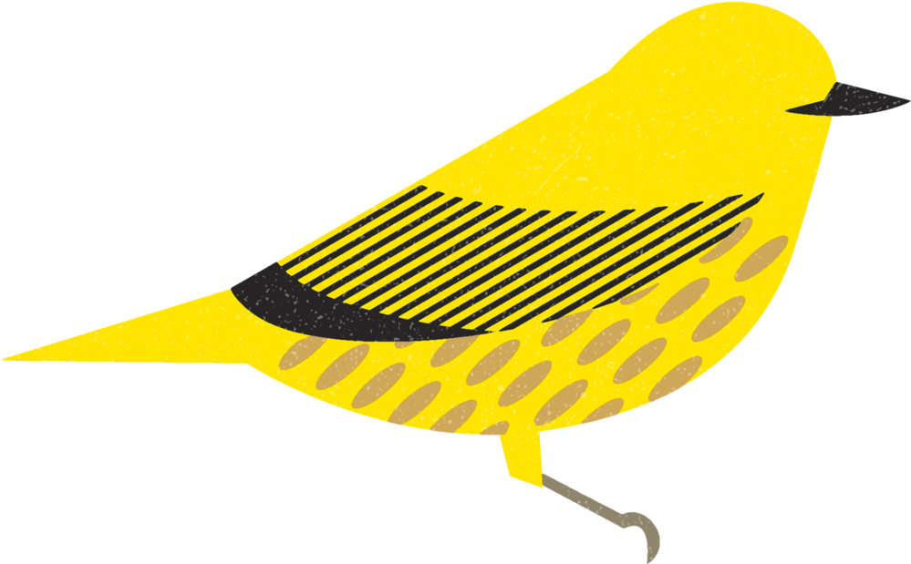 Yellowwarbler - Portable Network Graphics (1000x625)