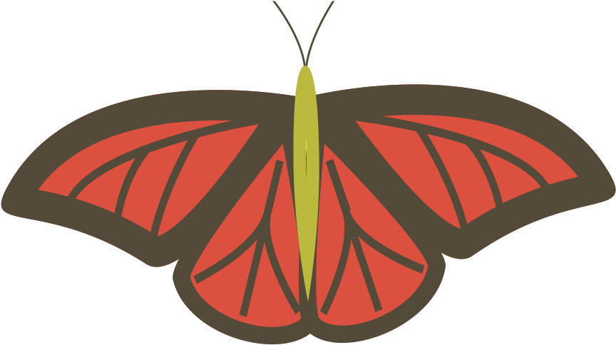 Butterfly - Butterfly (942x511)