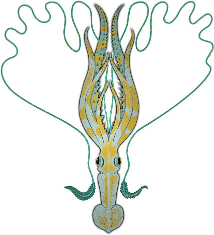 Custom Squid Shower Curtain (546x595)