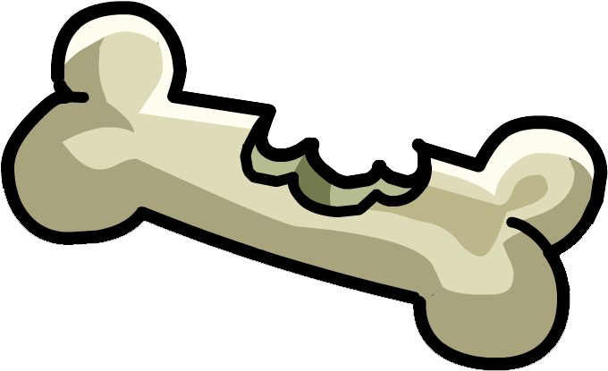 Chewed Bone - Png - Bone Png (699x425)