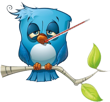 Sick Twitter Bird Virus “ - Tired Bird (383x358)
