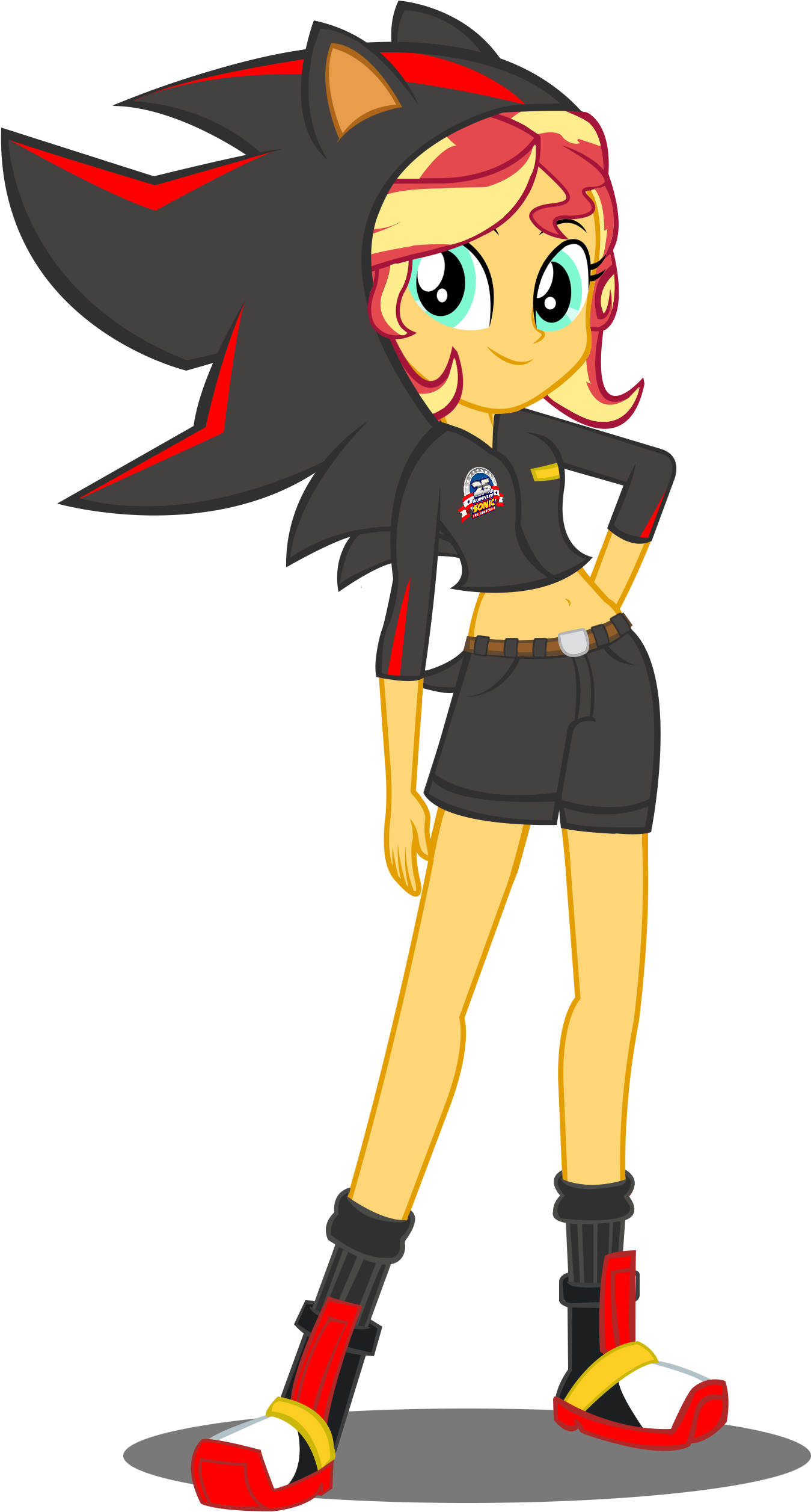 Shadow The Hedgehog And Sunset Shimmer (1487x2649)