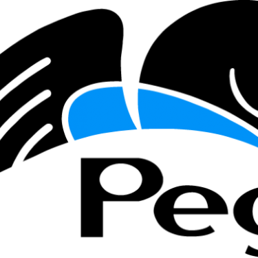 Pega Systems Logo (375x375)