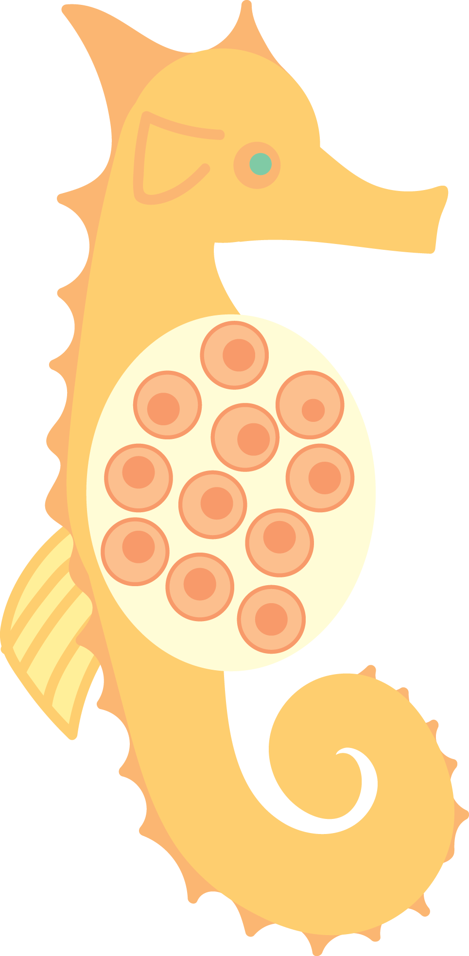 Seahorse - Illustration (965x1967)