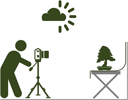 Place The Tree Against A Neutral Background - Camera Vector Side View (464x363)