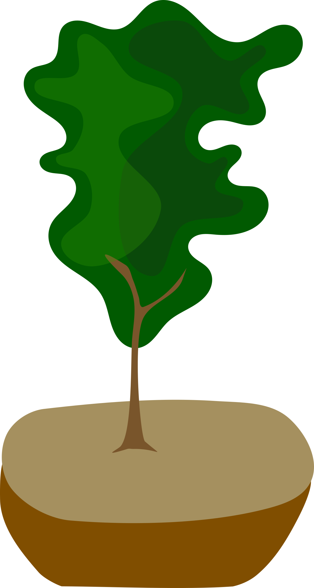 Pot Tree, Bonsai, Nature, Pot - Bonsai (1283x2400)