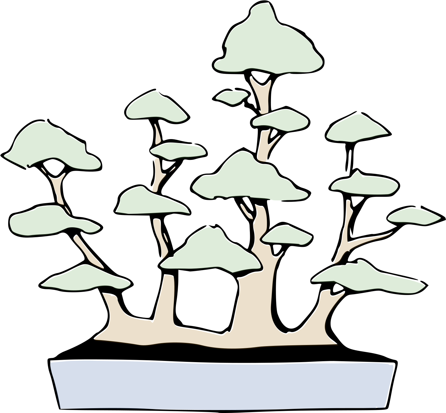 Open - Bonsai Styles (2000x2000)