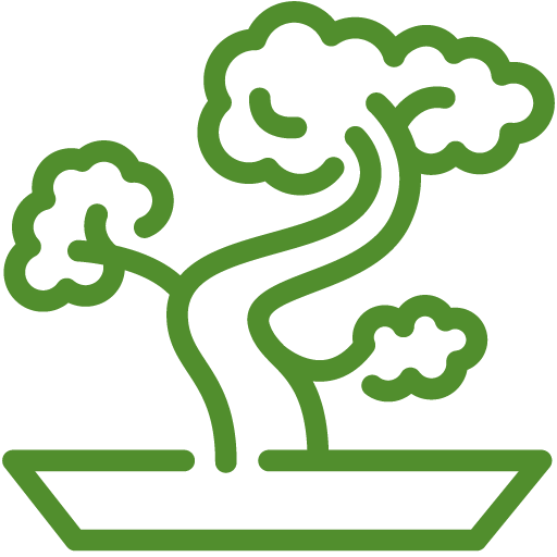 Bonsai - Bonsai (512x512)