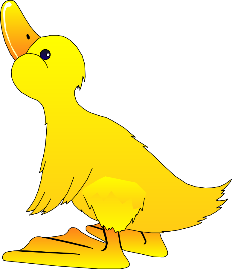 Transparent Background Duck Clipart (776x900)