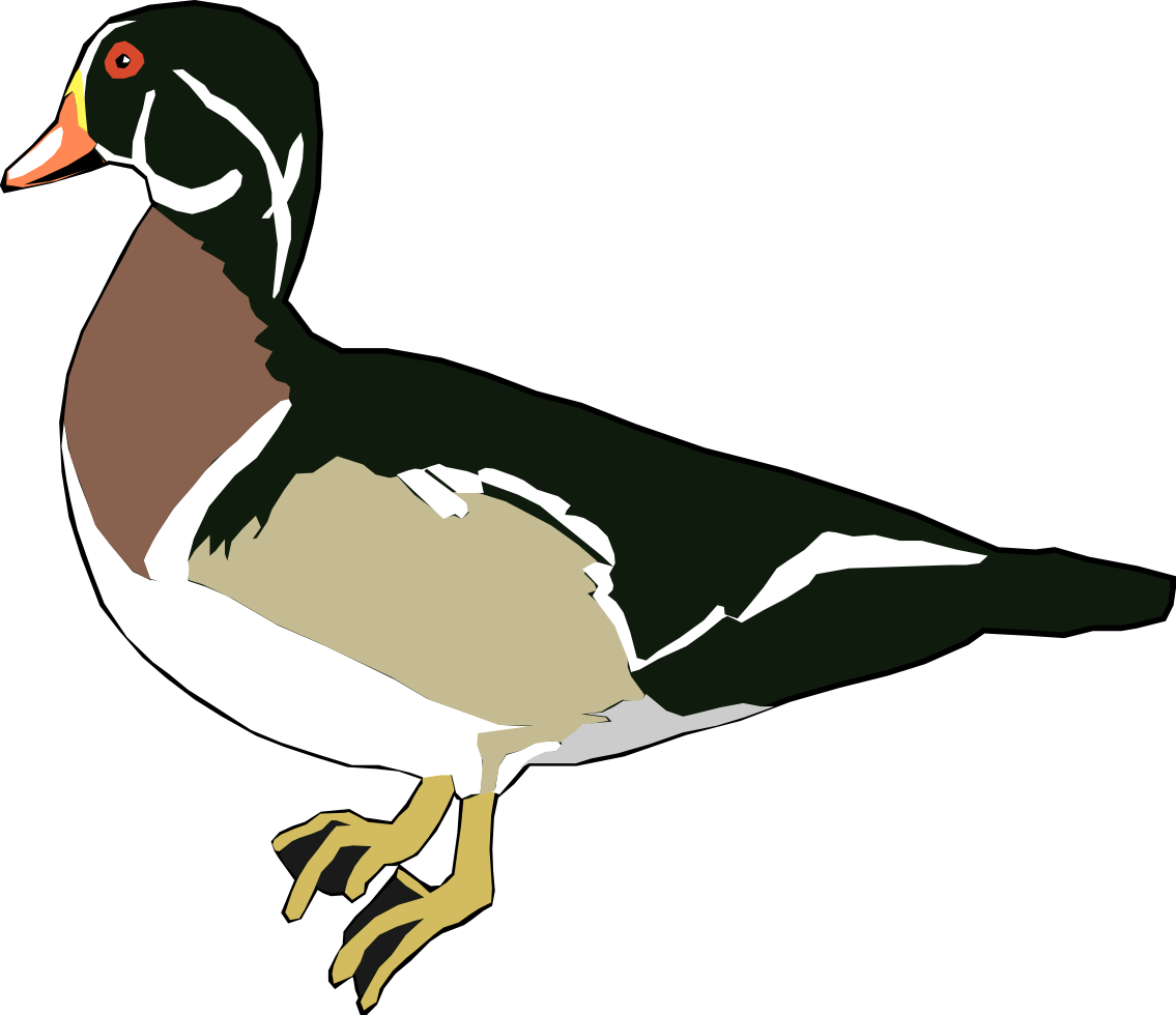 Cartoon Duck Clipart Animals Clip Art Downloadclipart - Duck Clip Art (1135x980)