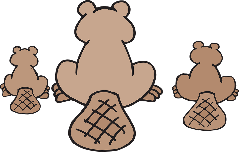 Canadian Beaver Throw Blanket (960x613)