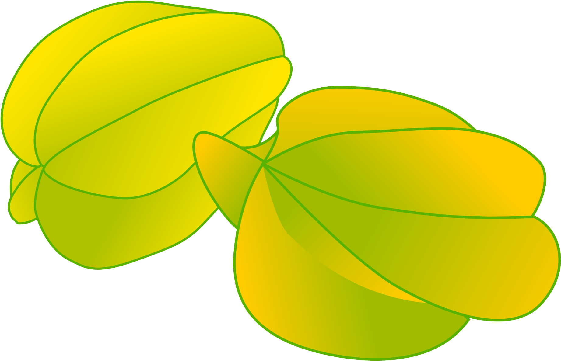 Net 2012 June Art Clip Art Clipart Openclipart - Star Fruit Clipart (1969x1289)