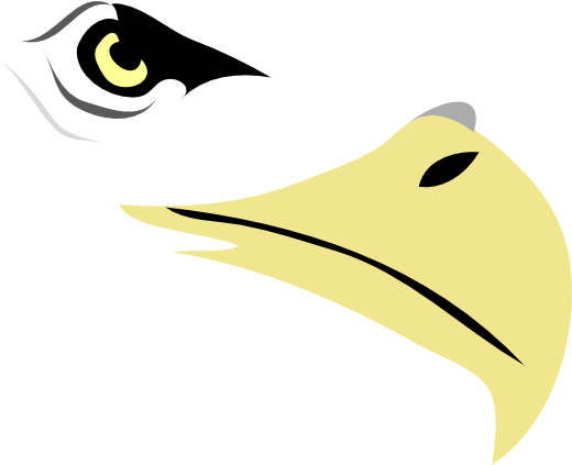 Eagle Eye Clip Art (600x422)