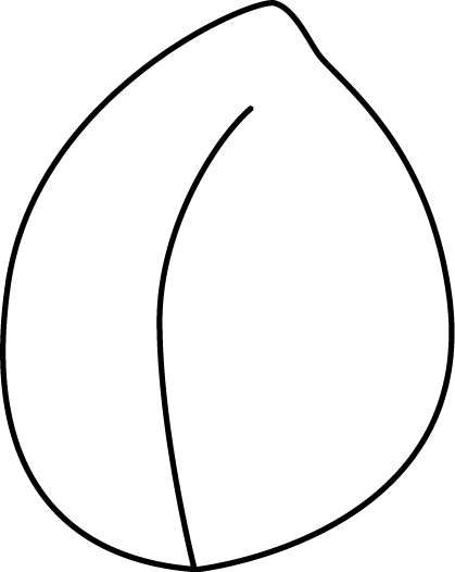 Plant - Clipart - Black - And - White - White Leaf Clipart (419x526)