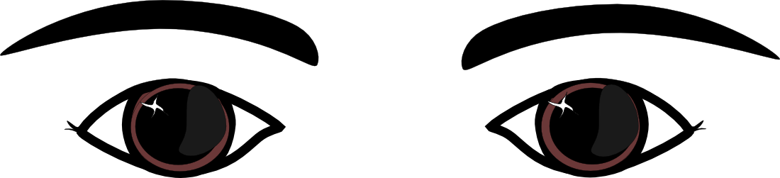 Eyes - Clip Art Of Eyes (1100x251)