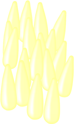 Fly Eggs - Fly (320x400)