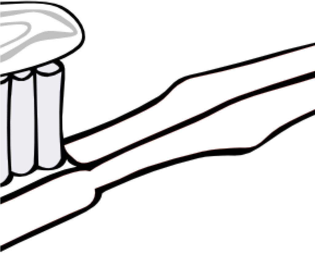 Clipart Toothbrush Toothbrush Clip Art At Clker Vector - Toothbrush Coloring Page (1024x1024)
