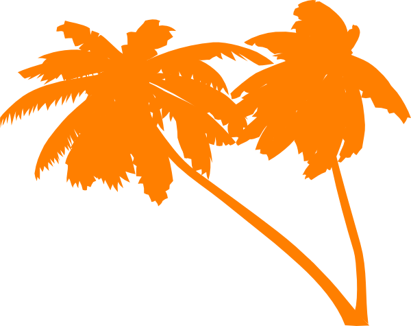Palm Trees Vector Png (600x475)