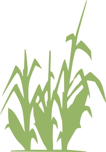 Lacto-fermentation Of Human Excreta For Agricultural (414x595)