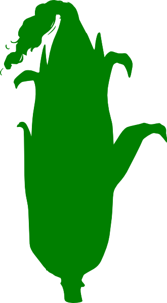 Maiz Vector Png (330x599)