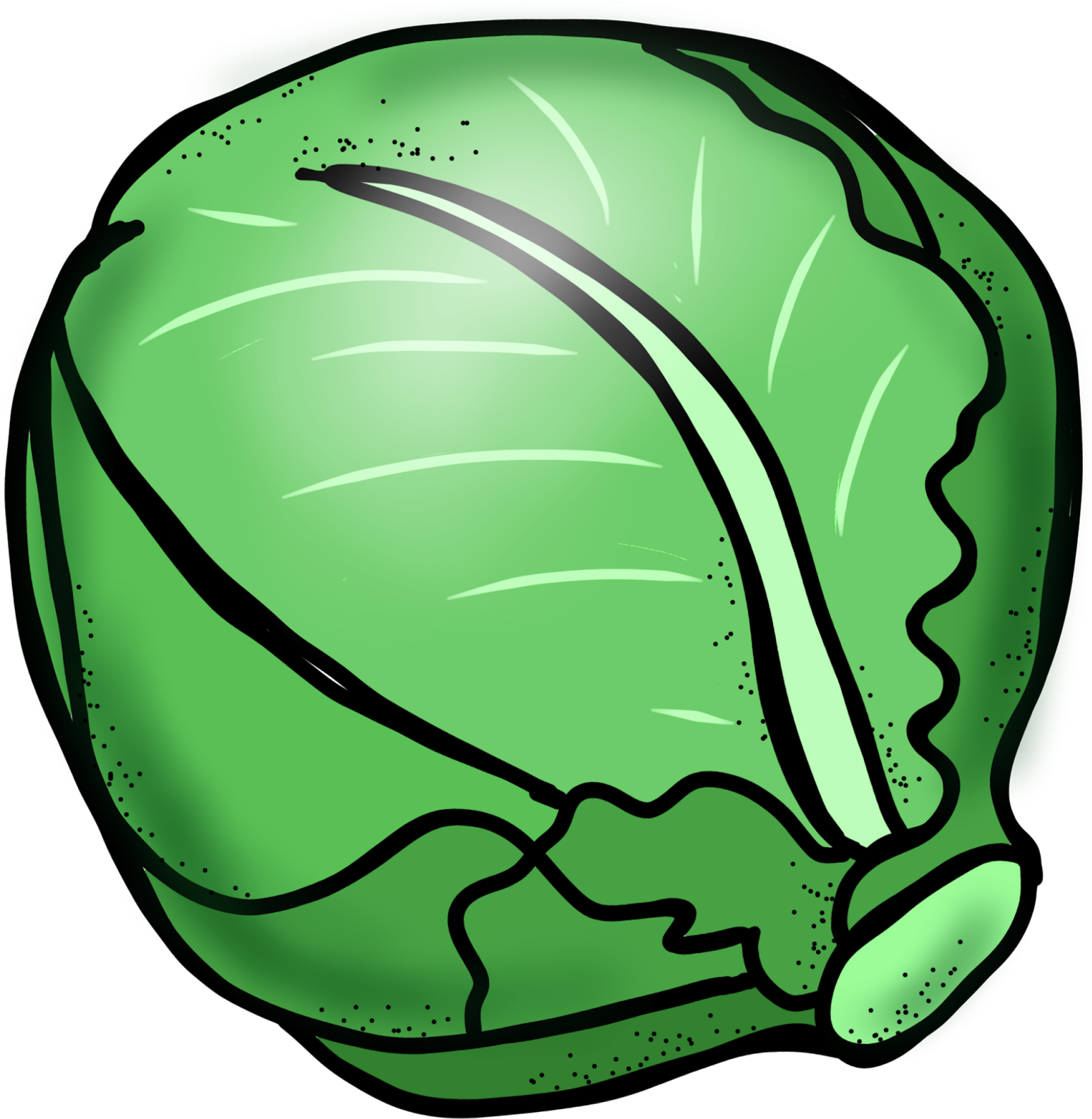 Cabbage Black And White Clipart Free Clip Art Images - Clipart Black And White Vegetables (1573x1600)