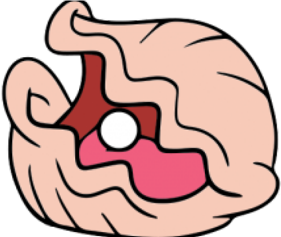 Chowder Clipart - Clam Clipart (640x480)
