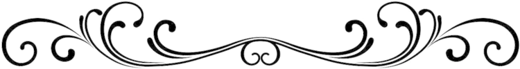 Flower Divider Clipart - Design Single Line Border (800x212)