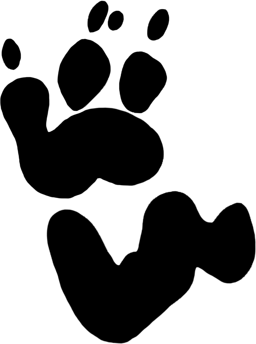 Koala Paw Prints Clipart - Koala Bear Koala Footprint (945x1140)