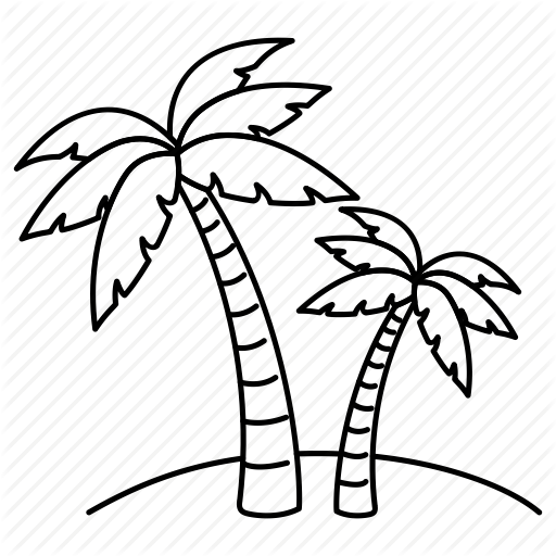 Palm Tree Line Drawing - Beach Palm Tree Drawing (512x512)